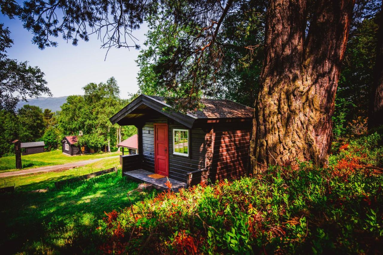 Ljoshaugen Camping Dombås Exterior foto